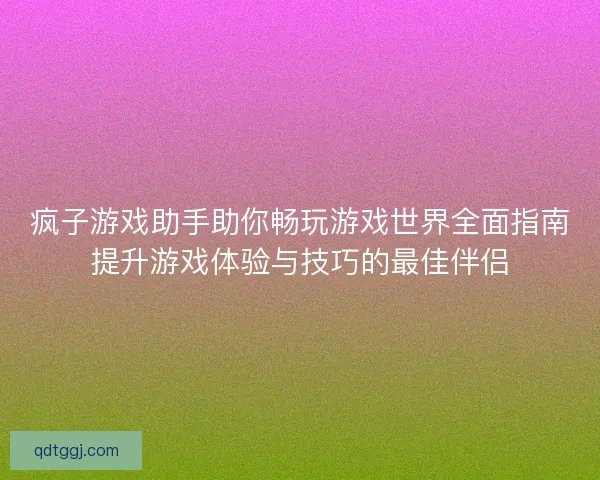 疯子游戏助手助你畅玩游戏世界全面指南提升游戏体验与技巧的最佳伴侣