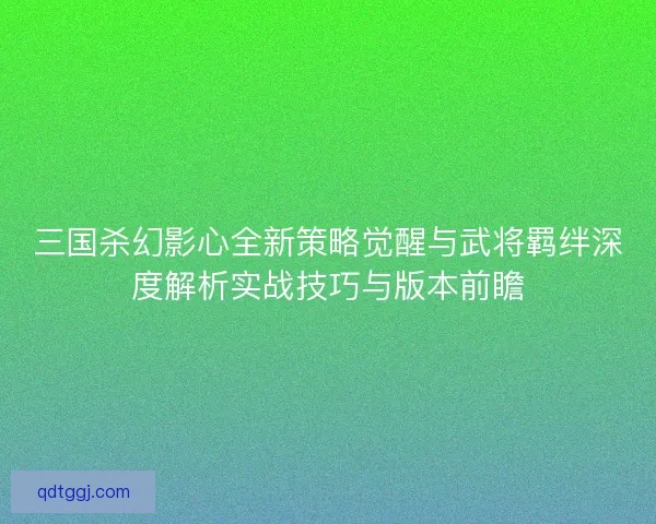 三国杀幻影心全新策略觉醒与武将羁绊深度解析实战技巧与版本前瞻