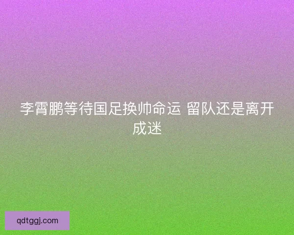 李霄鹏等待国足换帅命运 留队还是离开成迷