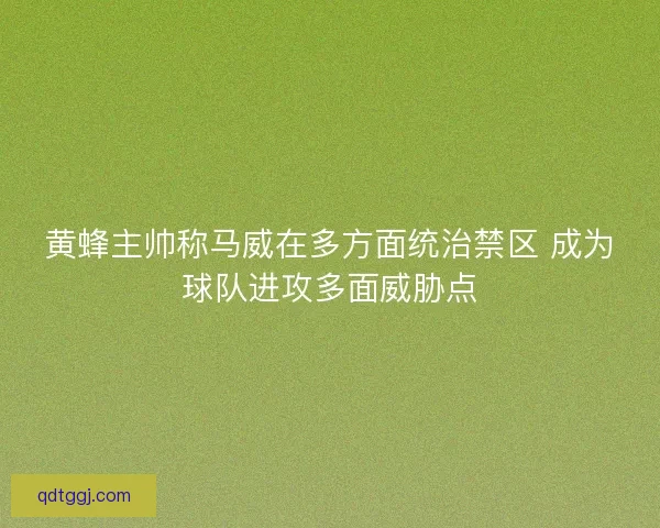 黄蜂主帅称马威在多方面统治禁区 成为球队进攻多面威胁点